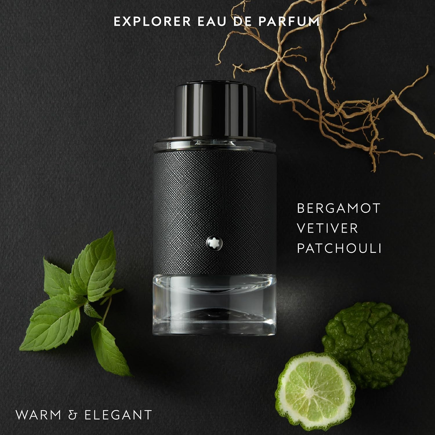 C MONT B. EXPLORER 100ML. EDP